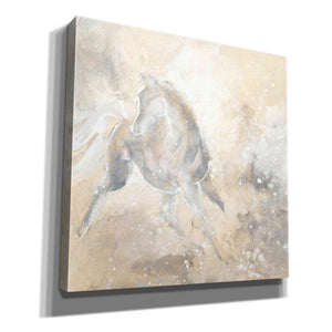 'Grey Horse I' by Chris Paschke, Giclee Canvas Wall Art