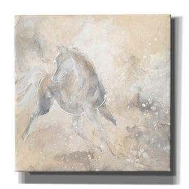 'Grey Horse I' by Chris Paschke, Giclee Canvas Wall Art