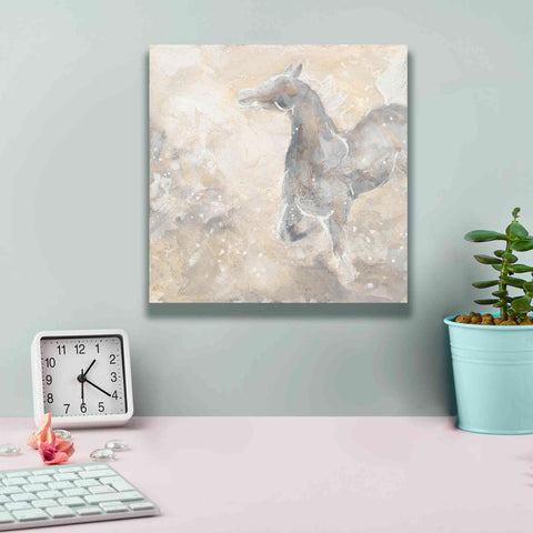 Image of 'Grey Horse II' by Chris Paschke, Giclee Canvas Wall Art,12 x 12