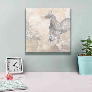 'Grey Horse II' by Chris Paschke, Giclee Canvas Wall Art,12 x 12
