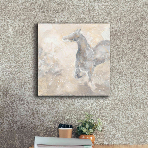 Image of 'Grey Horse II' by Chris Paschke, Giclee Canvas Wall Art,18 x 18