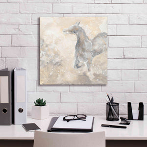 'Grey Horse II' by Chris Paschke, Giclee Canvas Wall Art,18 x 18