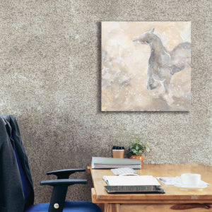'Grey Horse II' by Chris Paschke, Giclee Canvas Wall Art,26 x 26