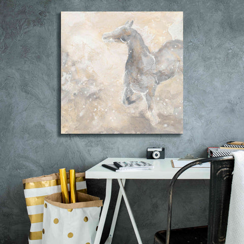 Image of 'Grey Horse II' by Chris Paschke, Giclee Canvas Wall Art,26 x 26