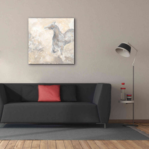 Image of 'Grey Horse II' by Chris Paschke, Giclee Canvas Wall Art,37 x 37