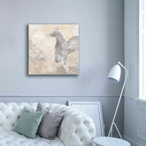 'Grey Horse II' by Chris Paschke, Giclee Canvas Wall Art,37 x 37