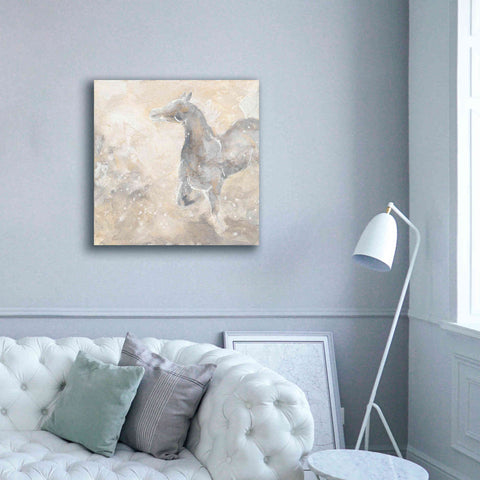 Image of 'Grey Horse II' by Chris Paschke, Giclee Canvas Wall Art,37 x 37