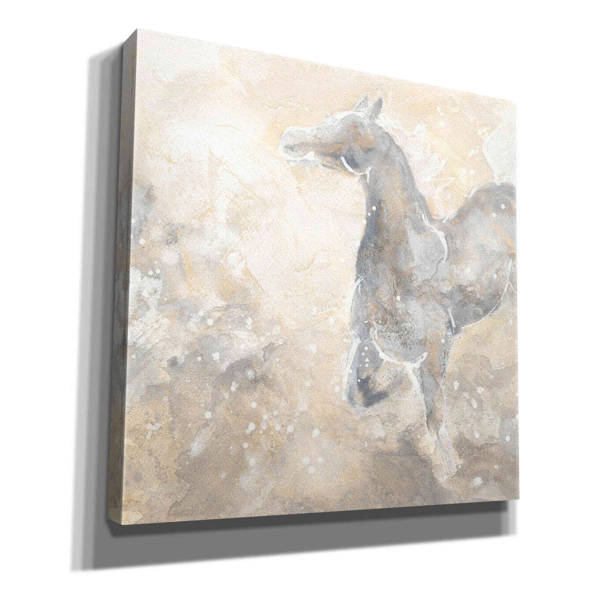 'Grey Horse II' by Chris Paschke, Giclee Canvas Wall Art