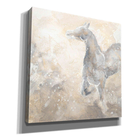 Image of 'Grey Horse II' by Chris Paschke, Giclee Canvas Wall Art