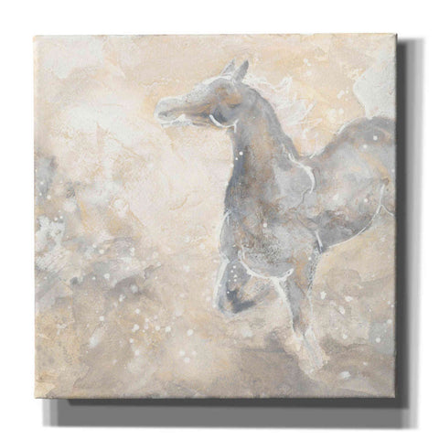 Image of 'Grey Horse II' by Chris Paschke, Giclee Canvas Wall Art