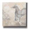 'Grey Horse II' by Chris Paschke, Giclee Canvas Wall Art
