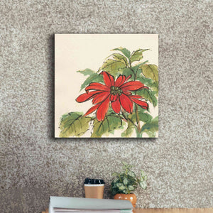 'Poinsettia I' by Chris Paschke, Giclee Canvas Wall Art,18 x 18