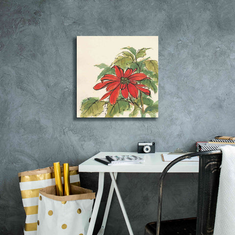 Image of 'Poinsettia I' by Chris Paschke, Giclee Canvas Wall Art,18 x 18