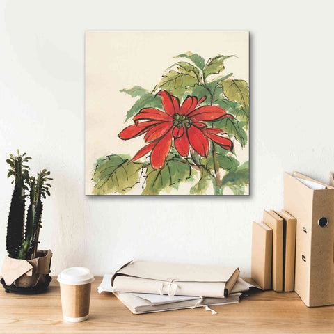 Image of 'Poinsettia I' by Chris Paschke, Giclee Canvas Wall Art,18 x 18