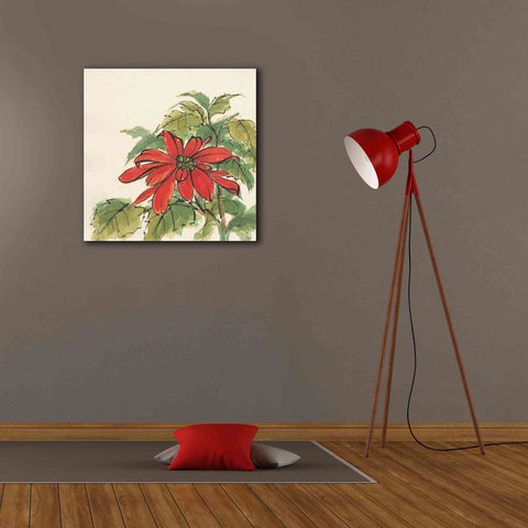 Image of 'Poinsettia I' by Chris Paschke, Giclee Canvas Wall Art,26 x 26