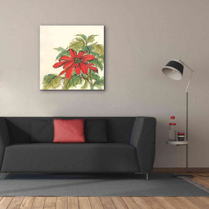 'Poinsettia I' by Chris Paschke, Giclee Canvas Wall Art,37 x 37