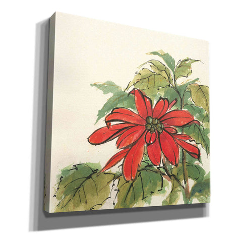 Image of 'Poinsettia I' by Chris Paschke, Giclee Canvas Wall Art