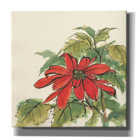 Image of 'Poinsettia I' by Chris Paschke, Giclee Canvas Wall Art