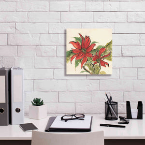 'Poinsettia II' by Chris Paschke, Giclee Canvas Wall Art,12 x 12