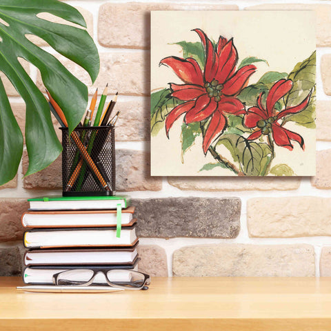 Image of 'Poinsettia II' by Chris Paschke, Giclee Canvas Wall Art,12 x 12