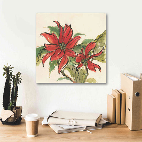 Image of 'Poinsettia II' by Chris Paschke, Giclee Canvas Wall Art,18 x 18