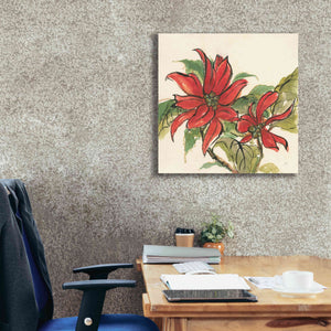 'Poinsettia II' by Chris Paschke, Giclee Canvas Wall Art,26 x 26