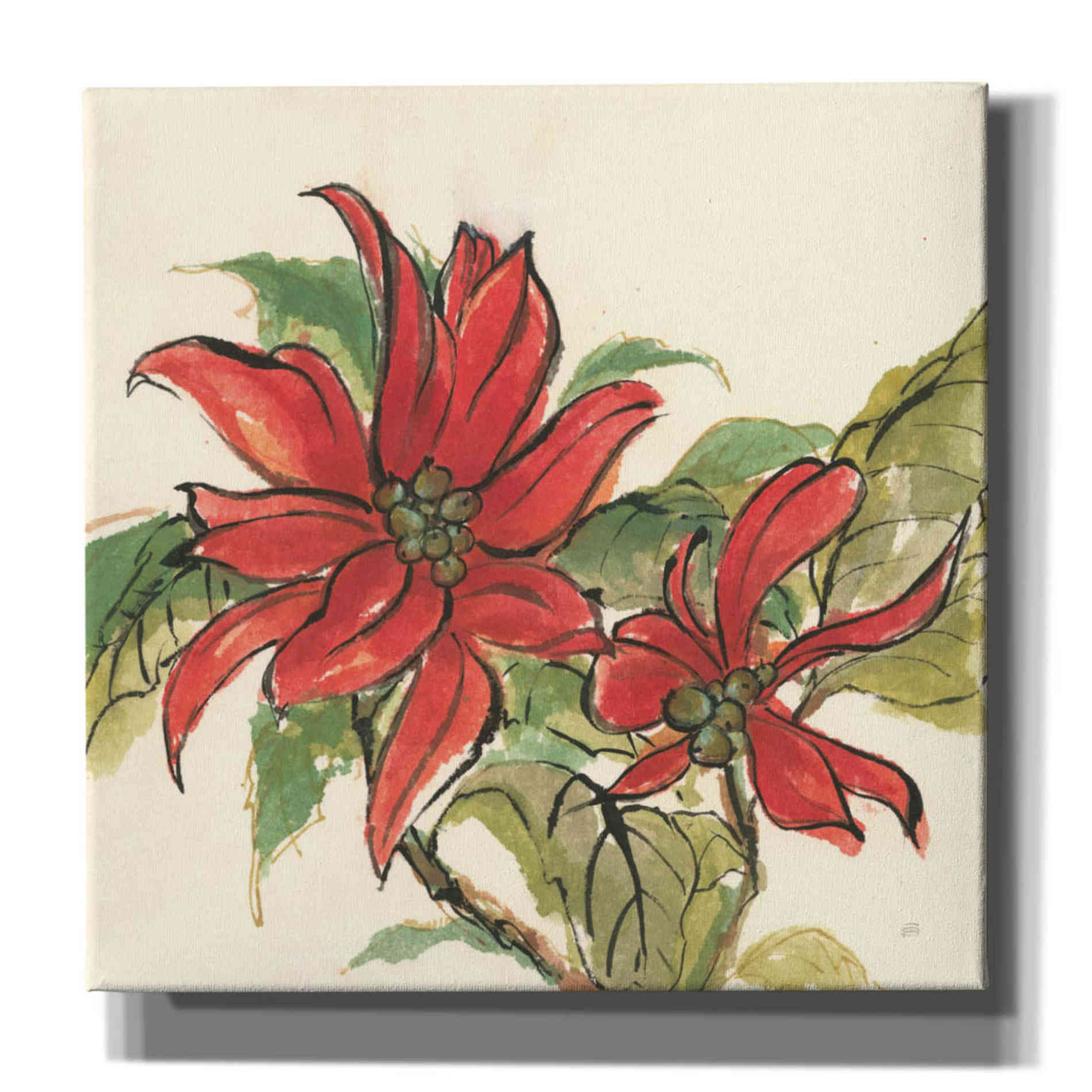 'Poinsettia II' by Chris Paschke, Giclee Canvas Wall Art