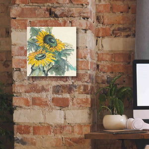 'Sunflower I' by Chris Paschke, Giclee Canvas Wall Art,12 x 12