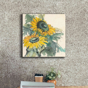 'Sunflower I' by Chris Paschke, Giclee Canvas Wall Art,18 x 18