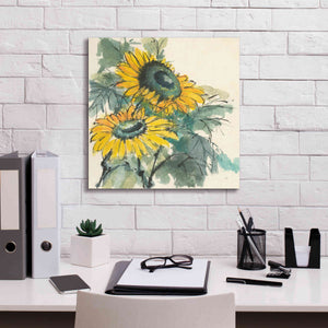 'Sunflower I' by Chris Paschke, Giclee Canvas Wall Art,18 x 18