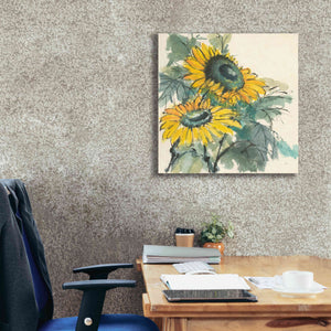 'Sunflower I' by Chris Paschke, Giclee Canvas Wall Art,26 x 26