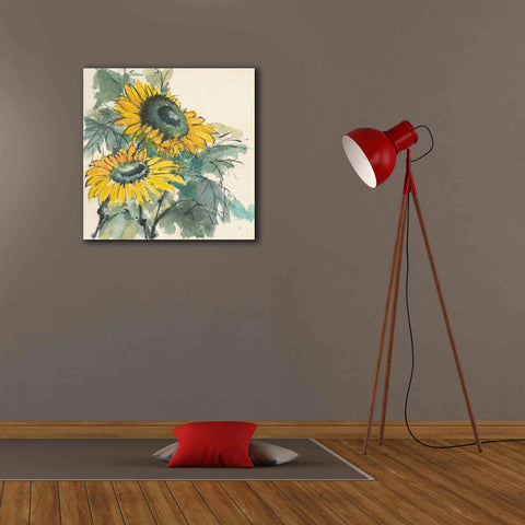 Image of 'Sunflower I' by Chris Paschke, Giclee Canvas Wall Art,26 x 26