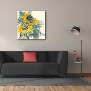 'Sunflower I' by Chris Paschke, Giclee Canvas Wall Art,37 x 37