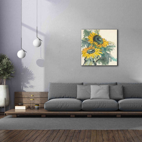 Image of 'Sunflower I' by Chris Paschke, Giclee Canvas Wall Art,37 x 37