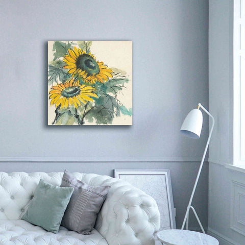 Image of 'Sunflower I' by Chris Paschke, Giclee Canvas Wall Art,37 x 37