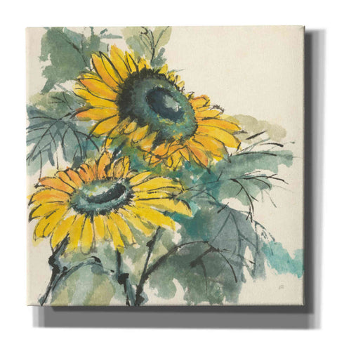 Image of 'Sunflower I' by Chris Paschke, Giclee Canvas Wall Art