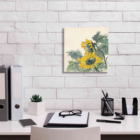 Image of 'Sunflower II' by Chris Paschke, Giclee Canvas Wall Art,12 x 12
