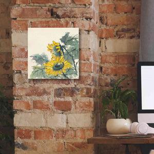 'Sunflower II' by Chris Paschke, Giclee Canvas Wall Art,12 x 12