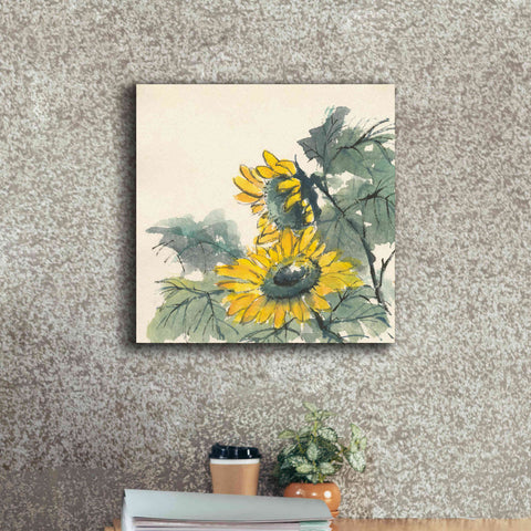 Image of 'Sunflower II' by Chris Paschke, Giclee Canvas Wall Art,18 x 18