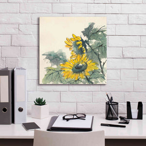 'Sunflower II' by Chris Paschke, Giclee Canvas Wall Art,18 x 18