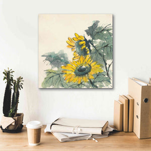 'Sunflower II' by Chris Paschke, Giclee Canvas Wall Art,18 x 18