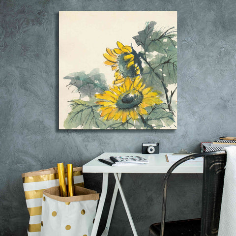 Image of 'Sunflower II' by Chris Paschke, Giclee Canvas Wall Art,26 x 26