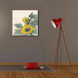 'Sunflower II' by Chris Paschke, Giclee Canvas Wall Art,26 x 26