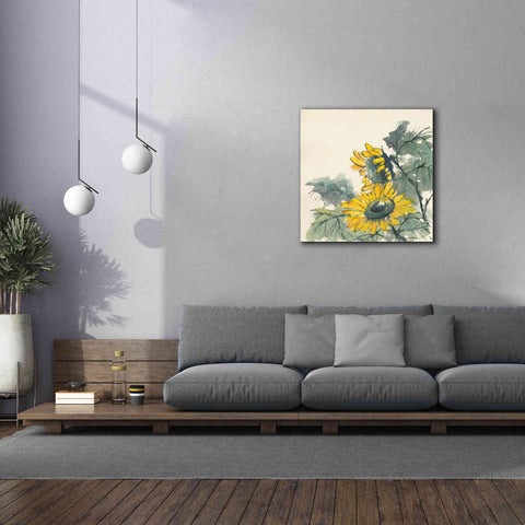 Image of 'Sunflower II' by Chris Paschke, Giclee Canvas Wall Art,37 x 37