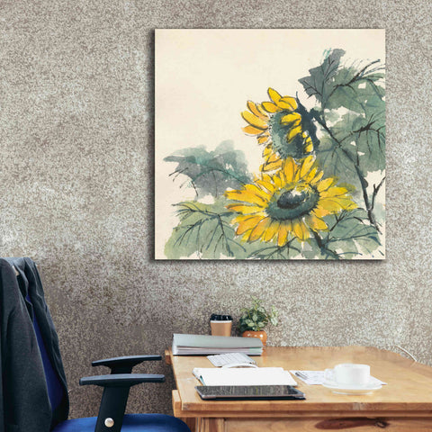 Image of 'Sunflower II' by Chris Paschke, Giclee Canvas Wall Art,37 x 37
