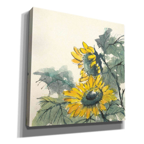 Image of 'Sunflower II' by Chris Paschke, Giclee Canvas Wall Art