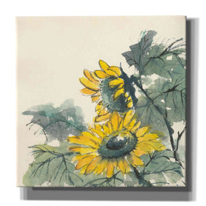 'Sunflower II' by Chris Paschke, Giclee Canvas Wall Art