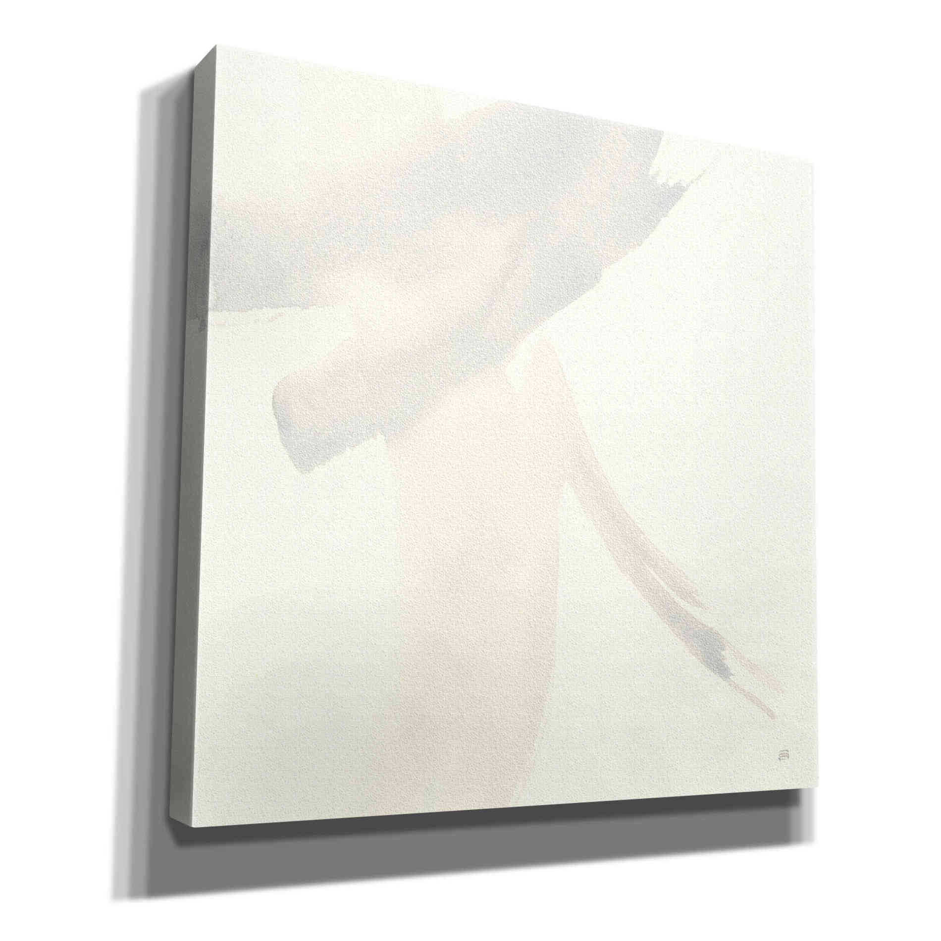 'Zen II' by Chris Paschke, Giclee Canvas Wall Art