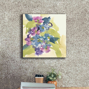 'Spring Bouquet II' by Chris Paschke, Giclee Canvas Wall Art,18 x 18