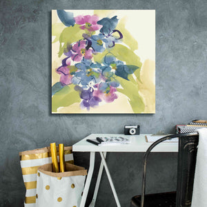 'Spring Bouquet II' by Chris Paschke, Giclee Canvas Wall Art,26 x 26